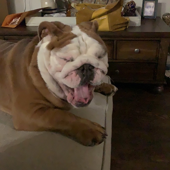 Mike and Kim welcome you to West Virginia Threads - Picture 8 of 16